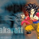 Kakarot1 - zdjęcie