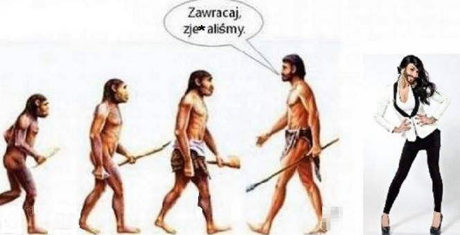 pre_1400068634__ewolucja_baba_z_broda.pn
