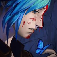 DiMoPolska - zdjęcie