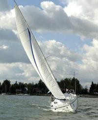 plumpluma102830129 - zdjęcie