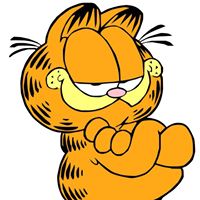 Dżemik55 - zdjęcie