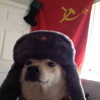 LOLYOU - zdjęcie