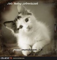 martakossakowska - zdjęcie